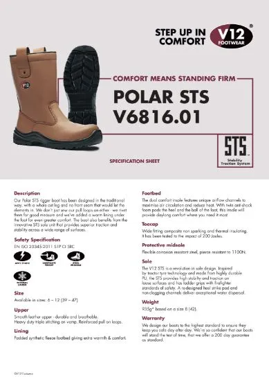 V12 Polar Rigger Boot